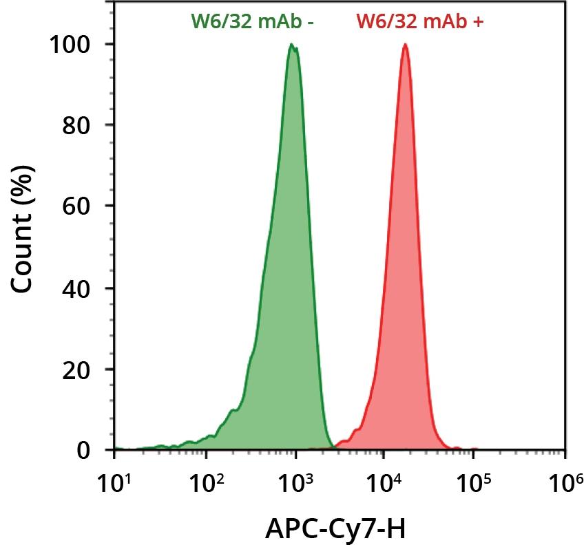 HL-60 cells were incubated with (red) or without (green) anti-human HLA-ABC (W6/32 mAb). Cells were then incubated with goat anti-mouse IgG labeled using the ReadiLink&trade; Rapid Cy7 Antibody Labeling Kit (Cat No. 1294). The fluorescence signal was monitored using ACEA NovoCyte flow cytometer in the APC-Cy7 channel.