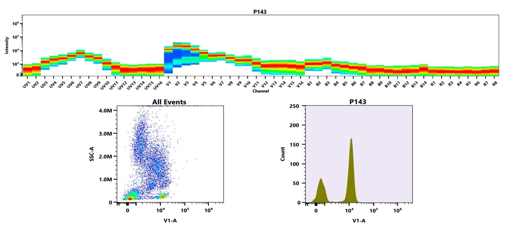 (Top) Spectral emission profiles generated using four spatially offset lasers (355 nm, 405 nm, 488 nm, and 640 nm). Each laser produced a distinct emission pattern, and their combination yielded the composite spectral signature. (Bottom) Flow cytometry analysis of human whole blood stained with CD4 (RPA-T4) antibody labeled using ReadiLink™ Rapid iFluor® 405 Antibody Labeling Kit (Cat. #1228). The fluorescence signal was monitored on a Cytek Aurora spectral flow cytometer in the V1-A channel, demonstrating clear detection of CD4⁺ lymphocytes.
