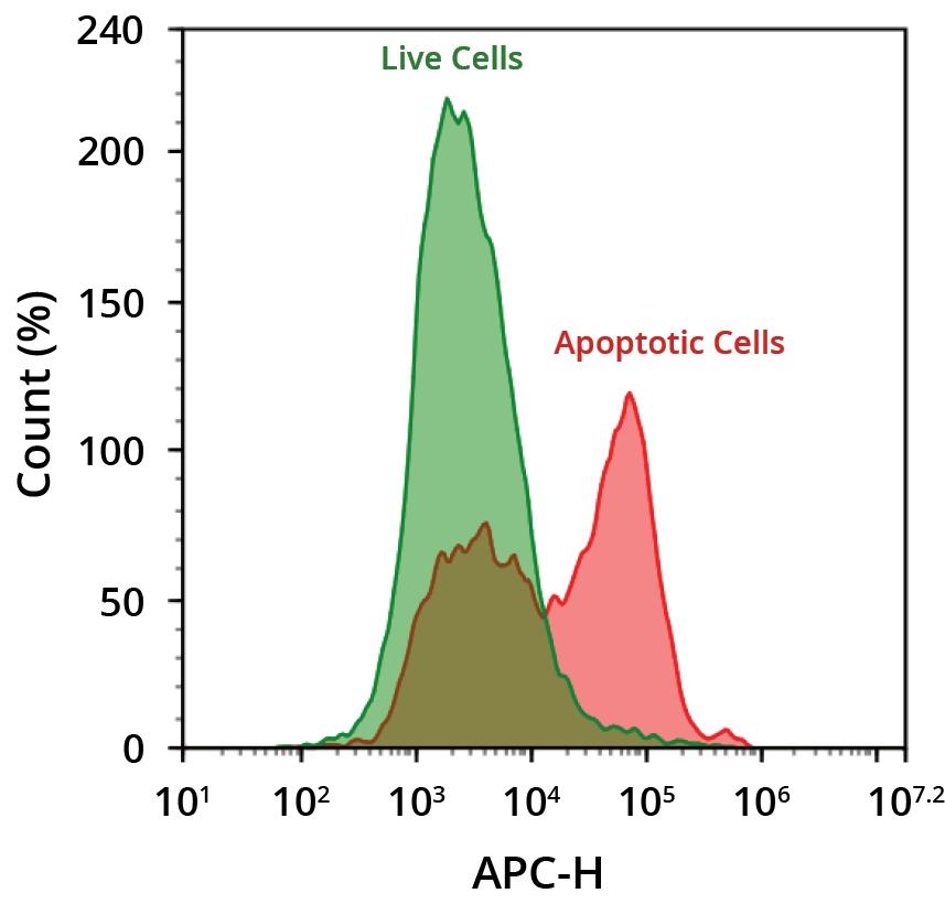 Flow cytometric analysis of cells undergoing apoptosis using Annexin V-iFluor® 680. Jurkat cells were treated with (red) or without 1 µM staurosporine (green) for 4 hours at 37 ºC. Cells were then incubated with Annexin V labeled using the ReadiLink™ Rapid iFluor® 680 Antibody Labeling Kit (Cat No. 1240) for 30 minutes to identify apoptotic cells. Fluorescence intensity was measured using an ACEA NovoCyte flow cytometer.