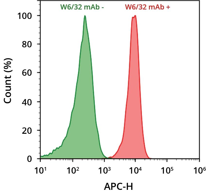 HL-60 cells were incubated with (red) or without (green) anti-human HLA-ABC (W6/32 mAb). Cells were then incubated with goat anti-mouse IgG labeled using the ReadiLink&trade; Rapid iFluor® 700 Antibody Labeling Kit (Cat No. 1245). The fluorescence signal was monitored using ACEA NovoCyte flow cytometer in the APC channel.