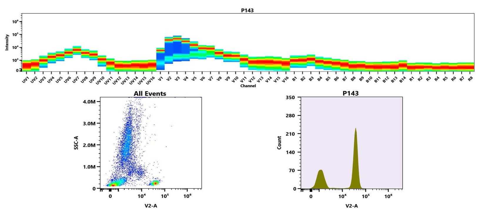(Top) Spectral emission profiles generated using four spatially offset lasers (355 nm, 405 nm, 488 nm, and 640 nm). Each laser produced a distinct emission pattern, and their combination yielded the composite spectral signature. (Bottom) Flow cytometry analysis of human whole blood stained with CD4 (RPA-T4) antibody labeled using ReadiLink™ Rapid mFluor™ Violet 450 Antibody Labeling Kit (Cat. #1100). The fluorescence signal was monitored on a Cytek Aurora spectral flow cytometer in the V2-A channel, demonstrating clear detection of CD4⁺ lymphocytes.