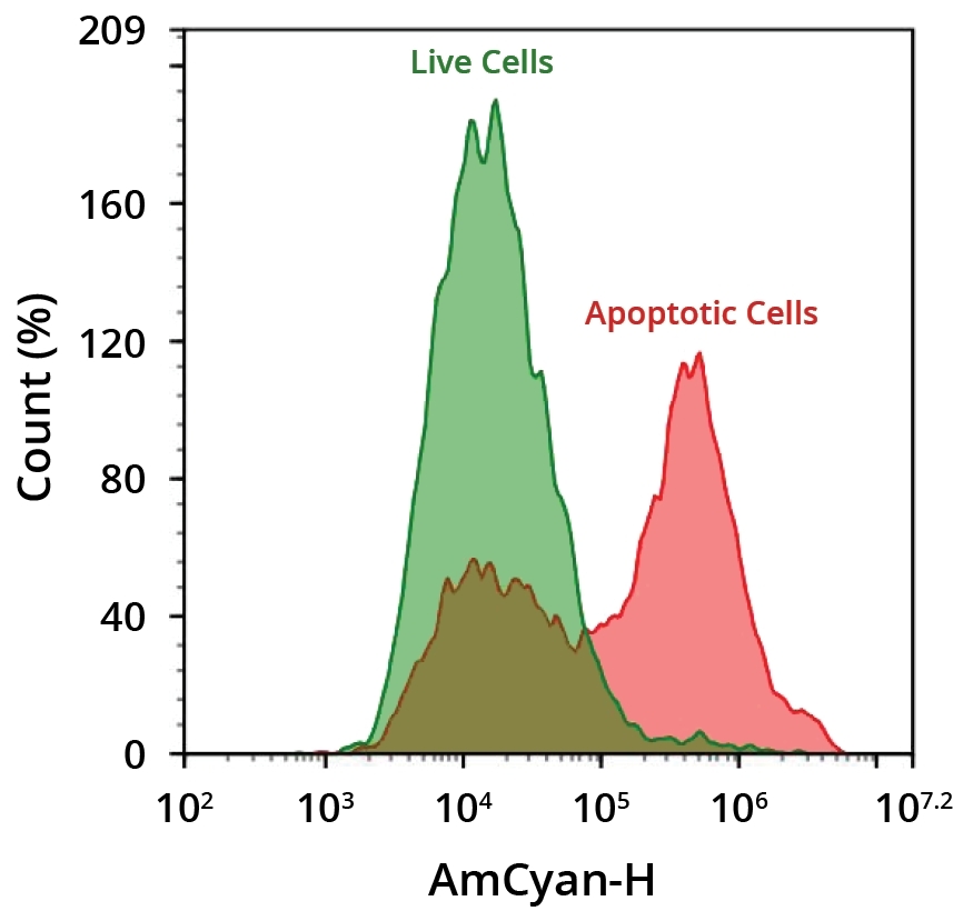 Flow cytometric analysis of cells undergoing apoptosis using Annexin V-mFluor™ Violet 510. Jurkat cells were treated with (red) or without 1 µM staurosporine (green) for 4 hours at 37 ºC. Cells were then incubated with Annexin V labeled using the ReadiLink™ Rapid mFluor™ Violet 510 Antibody Labeling Kit (Cat No. 1110) for 30 minutes to identify apoptotic cells. Fluorescence intensity was measured using an ACEA NovoCyte flow cytometer.