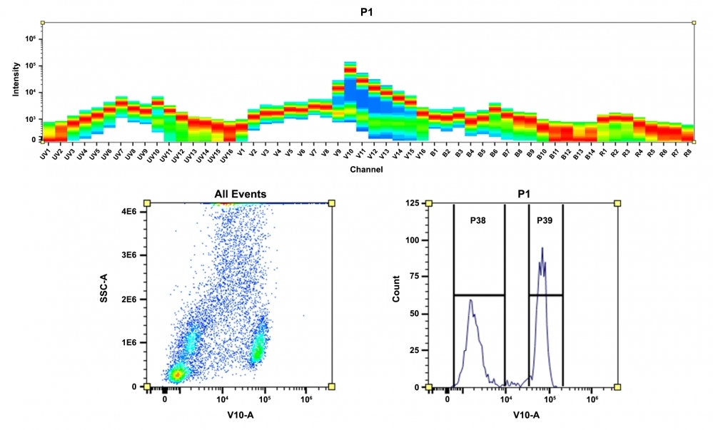 Top) Spectral pattern was generated using a 4-laser spectral cytometer. Spatially offset lasers (355 nm, 405 nm, 488 nm, and 640 nm) were used to generate four distinct emission profiles, then, when combined, yielded the overall spectral signature. Bottom) Flow cytometry analysis of whole blood cells stained with CD4-mFluor™ Violet 610 conjugate. Conjugates were prepared using the ReadiLink™ Rapid mFluor™ Violet 610 Antibody Labeling Kit. The fluorescence signal was monitored using a Cytek® Aurora spectral flow cytometer in the mFluor™ Violet 610 specific V10-A channel.