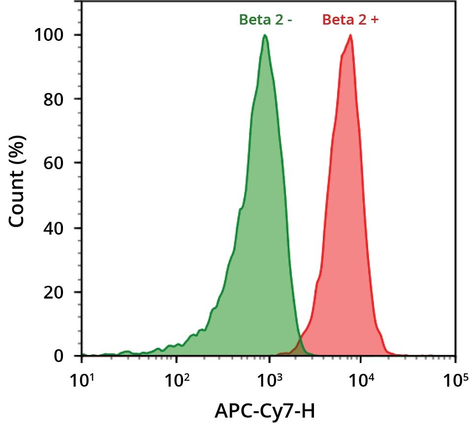 HeLa cells were fixed with 4% PFA, permeabilized and blocked. Cells were then incubated with (red) or without (green) anti-beta 2 rabbit antibody and stained with a goat anti-rabbit IgG labeled using the ReadiLink&trade; xtra Rapid Cy7 Antibody Labeling Kit (Cat No. 1973). The fluorescence signal was monitored using an ACEA NovoCyte flow cytometer in the APC-Cy7 channel.