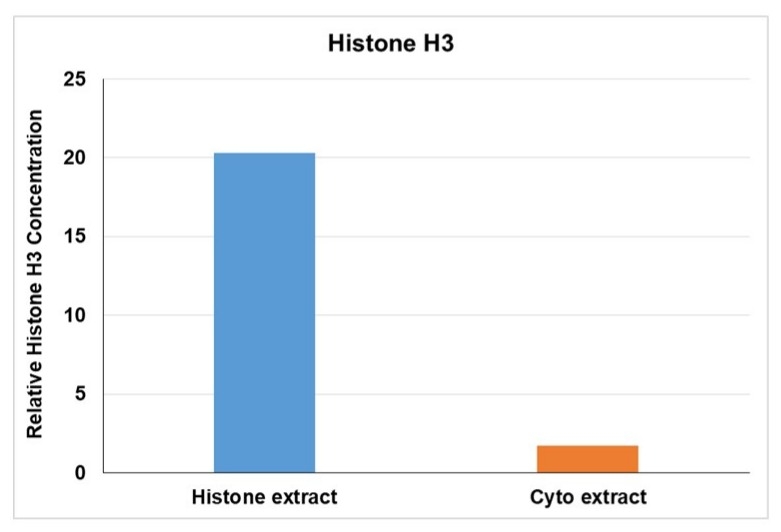 SDS-PAGE analysis of histone extracts collected from HeLa cells with ReadiPrep™ Histone Extraction kit (Cat# 60208). Normalized levels of Histone H3 to tubulin levels in histone and cytoplasmic fractions were shown.