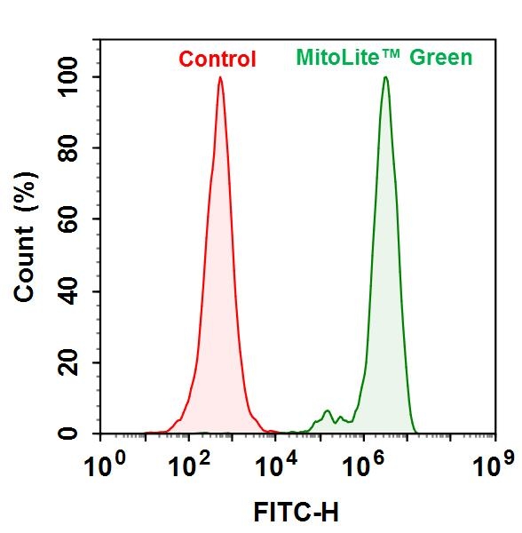 Mitochondria fractions from HeLa cells were collected using ReadiPrep™ Mitochondrial/Cytoplasmic Fractionation Kit. The protein was quantified by Amplite® Fluorimetric Fluorescamine Protein Quantitation Kit (#11100). 100 µg of mitochondria fragment was incubated with or without MitoLite™ Green (#22675) and assayed with a NovoCyte 3000 flow cytometer.