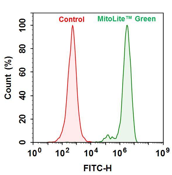 Mitochondria fraction from HeLa cells were collected using ReadiPrep&trade; Mitochondrial/Cytoplasmic Fractionation Kit. The protein was quantified by Amplite® Fluorimetric Fluorescamine Protein Quantitation Kit (#11100). 100 &micro;g of mitochondria fragment was incubated with or without MitoLite&trade; Green (#22675) and assayed with NovoCyte 3000 flow cytometer.