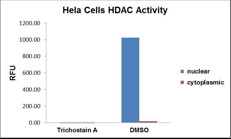 Nuclear and cytoplasmic extract from Hela cells were collected using ReadiPrep&trade; Nucleus/Cytosol Fractionation Kit. The protein was quantified by Amplite® Fluorimetric Fluorescamine Protein Quantitation Kit (AAT Bioquest<sup>&reg;</sup>, Cat#. 11100). 8 &micro;g of nuclear or cytoplasmic extract was incubated with or without HDAC inhibitor Trichostain A, and HDAC activity was measured by Amplite® Fluorimetric HDAC Activity Assay Kit (AAT Bioquest&reg;, Cat#. 13601).