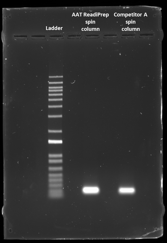 The 18S rRNA PCR product was purified using the ReadiPrep™ Spin Column for PCR Cleanup (Cat# 60510) or a comparable column from Competitor A. The purified products were electrophoresed on a 1% agarose gel in 1X TAE buffer and subsequently stained with Gelite Safe DNA Gel Stain (Cat# 17700).