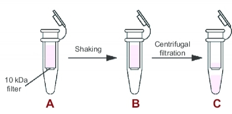 ReadiUse™ 10KD Spin Filters are disposable ultrafiltration devices for the concentration of biological samples such as antibodies. Maximum initial sample volume is ~500 ul. They can be used in either a swing bucket or fixed angle rotors accepting 2.0 ml centrifuge tube at around 10000 g.