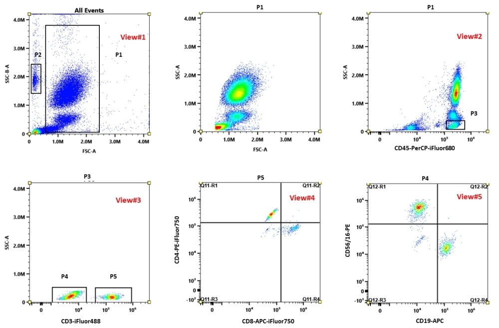 Human peripheral blood was stained with the ReadiUse™ Human TBNK 6 Color Antibody Kit *Dry Reagent*. Cells were stained at room temperature for 20 minutes, lysed with 1X Lysis/Fix buffer for 15 minutes, and then analyzed by flow cytometry. Live cells were gated on NucPO-1 viability stain. Live cells are gated on CD45+ (2D1)-PerCP-iFluor® 680 for lymphocytes and then gated on CD3+ or CD3- (SK7) iFluor® 488 cell populations. CD3+ cells are shown using CD4 (SK3) PE-iFluor® 750 and CD8 (SK1) APC-iFluor® 750 markers. CD3- cells are shown using CD19 (SJ25C1)-APC and CD56 (5.1H11) / CD16 (B73.1)-PE markers.