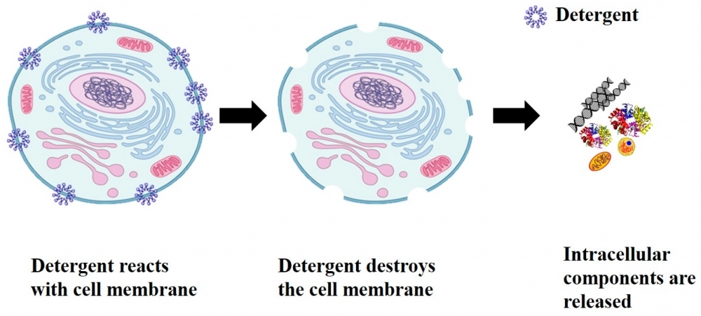 Cell lysis