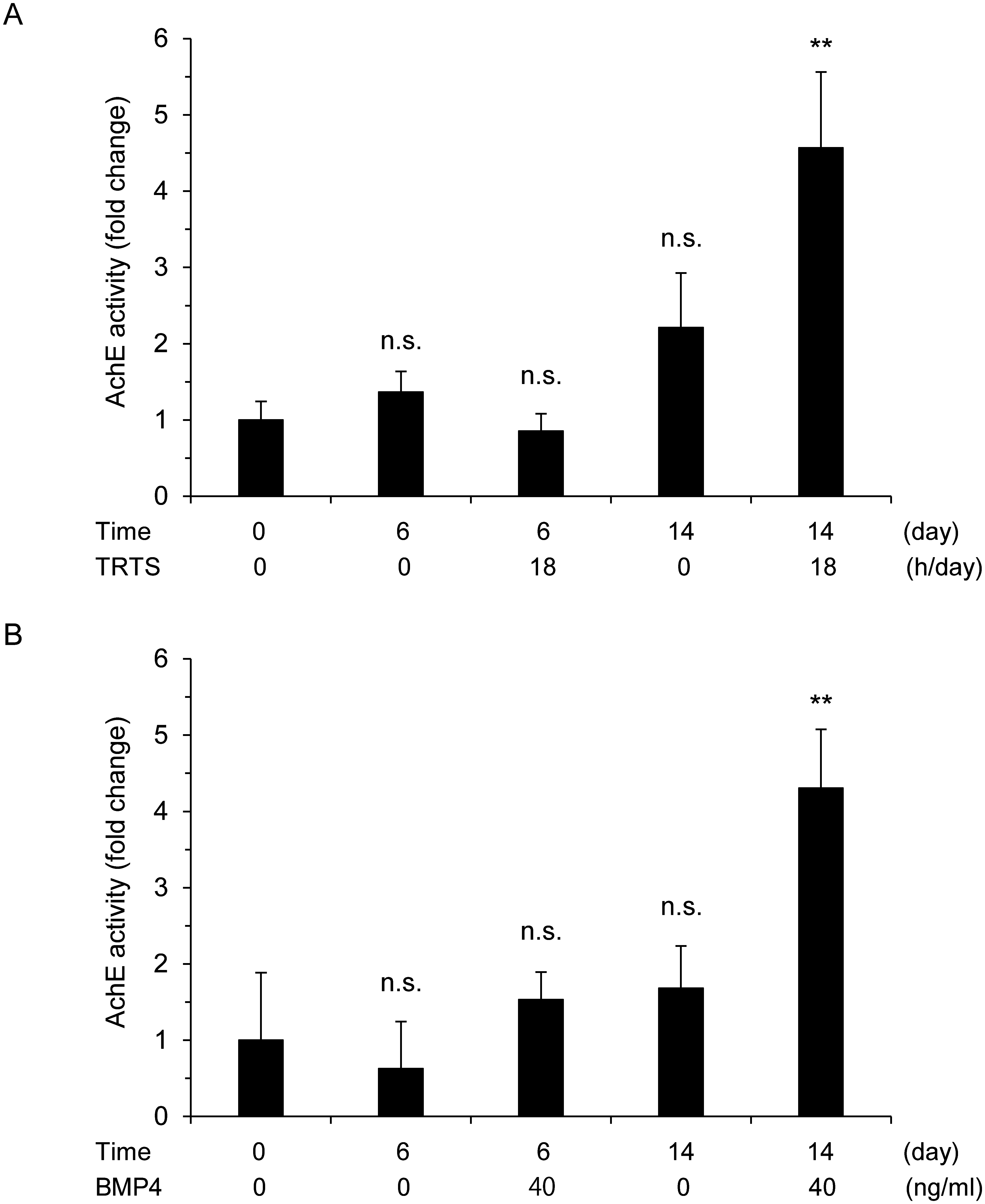 Time course of TRTS-induced AChE activity in PC12 cells. To examine AChE activity (a biochemical marker for neuronal differentiation) in PC12 cells, the choline produced from acetylcholine by endogenous AChE in each sample was quantified using the Amplite Fluorimetric Acetylcholine Esterase Assay Kit (AAT Bioquest, Sunnyvale, CA, USA) with ReadiUse mammalian cell lysis buffer *5X* (AAT Bioquest) in accordance with the manufacturer’s instructions. Cell lysates from PC12 cells in the differentiation medium were prepared and analyzed for acetylcholine esterase (AChE) activity after treatment with TRTS at 39.5°C (18 h/day) or 40 ng/ml BMP4 for the indicated number of days. The data represent the mean ± SD of three replicates. **P < 0.01 vs. the day 0 control with no stimulation. n.s., not significant vs. the day 0 control with no treatment. BMP4, bone morphogenetic protein 4, TRTS, temperature-controlled repeated thermal stimulation. Source: <b>Induction of Neurite Outgrowth in PC12 Cells Treated with Temperature-Controlled Repeated Thermal Stimulation</b> by Kudo, Tada-aki et.al., <em>PloS one</em>, April 2015