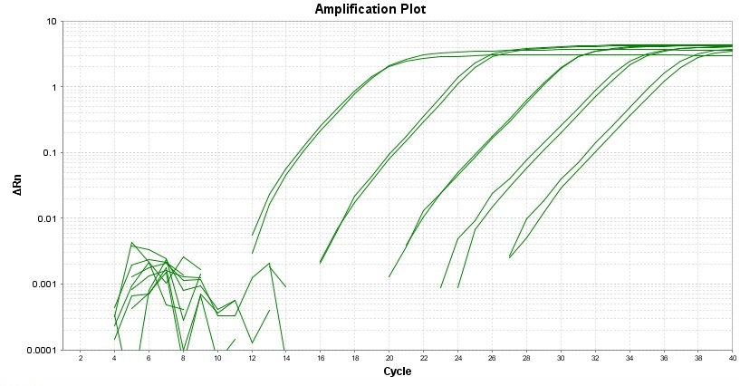 Amplification plot for a dilution series of HeLa cells cDNA amplified in replicate reactions to detect GAPDH using ReadiUse™ PCR Reaction Buffer with Helixyte™ Green and Low ROX.