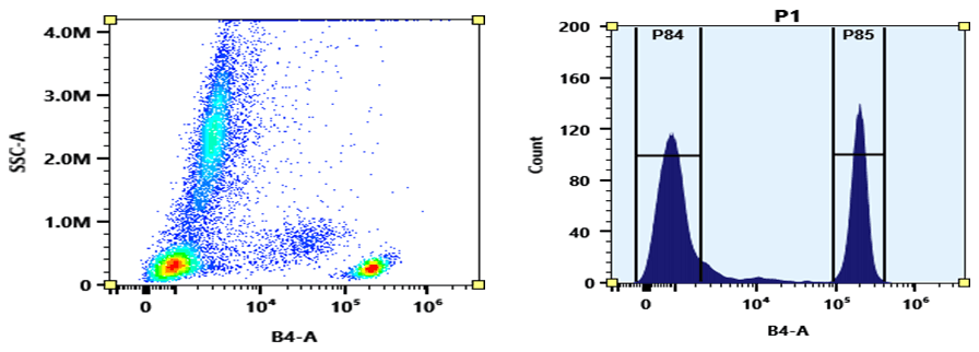 Flow cytometry analysis of whole blood stained with PE anti-human CD4 *SK3* conjugate. The fluorescence signal was monitored using an Aurora flow cytometer in the PE specific B4-A channel.
