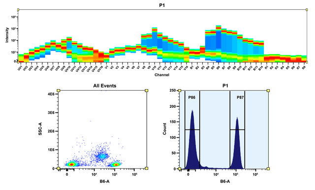 Top) Spectral pattern was generated using a 4-laser spectral cytometer. Spatially offset lasers (355 nm, 405 nm, 488 nm, and 640 nm) were used to create four distinct emission profiles, then, when combined, yielded the overall spectral signature. Bottom) Flow cytometry analysis of whole blood cells stained with PE anti-human CD4 *SK3* conjugate. The fluorescence signal was monitored using an Aurora spectral flow cytometer in the PE specific B6-A channel.