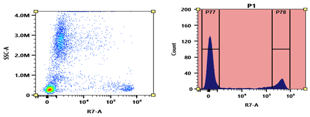Flow cytometry analysis of whole blood stained with APC-Cy7 anti-human CD8 *HIT8a* conjugate. The fluorescence signal was monitored using an Aurora flow cytometer in the APC-Cy7 specific R7-A channel.