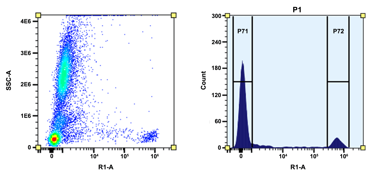 Flow cytometry analysis of whole blood cells stained with CD8 (SK1)-APC conjugate prepared with ReadiUse™ Preactivated APC Maleimide (Cat No. 2567). The fluorescence signal was monitored using an Aurora spectral flow cytometer in the R1-A channel