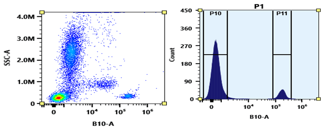 Flow cytometry analysis of whole blood stained with PE-iFluor® 700 anti-human CD19 *HIB19* conjugate. The fluorescence signal was monitored using an Aurora spectral flow cytometer in the PE-iFluor® 700 specific B10-A channel.