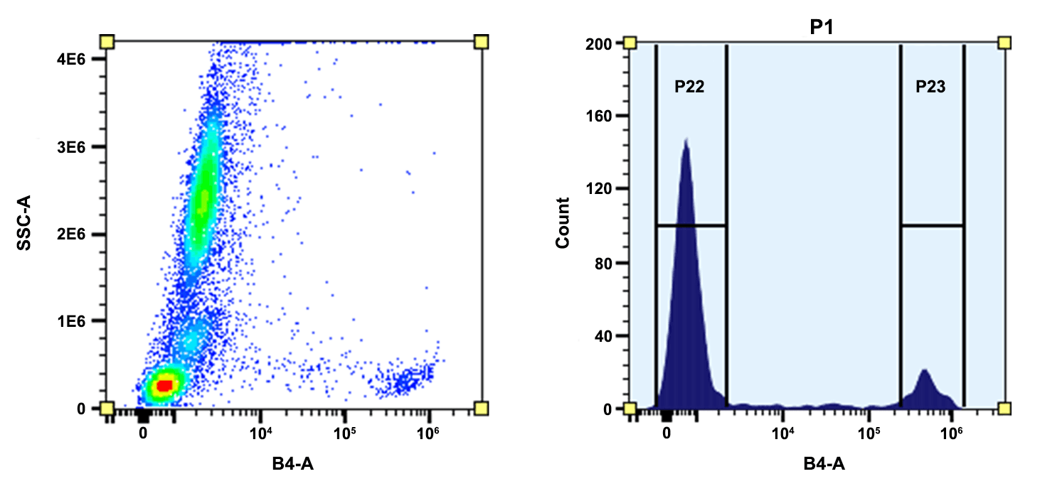 Flow cytometry analysis of whole blood cells stained with CD8 (SK1)-PE conjugate prepared with ReadiUse™ Preactivated PE Maleimide (Cat No. 2565). The fluorescence signal was monitored using an Aurora spectral flow cytometer in the B4-A channel. 

