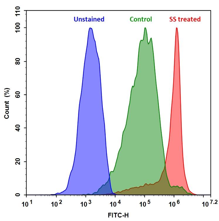 Jurkat cells were treated without (Green) or with 1 &mu;M staurosporine (Red) in 37 &ordm;C for 4 hours, and then labeled with FITC-Annexin V conjugate for 30 minutes. Fluorescence intensity was measured using ACEA NovoCyte flow cytometer in FITC channel.