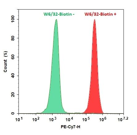 HL-60 cells were incubated with (Red, +) or without (Green, -) biotinylated-Anti-human HLA-ABC (W6/32 mAb-Biotin), followed by Streptavidin-PE/Cy7 stain. The fluorescence signal was monitored using ACEA NovoCyte flow cytometer in PE-Cy7 channel.