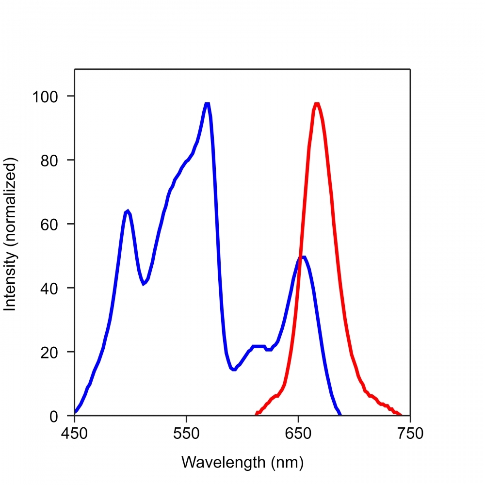 <p>Spectrum for RPE-iFluor 647</p>