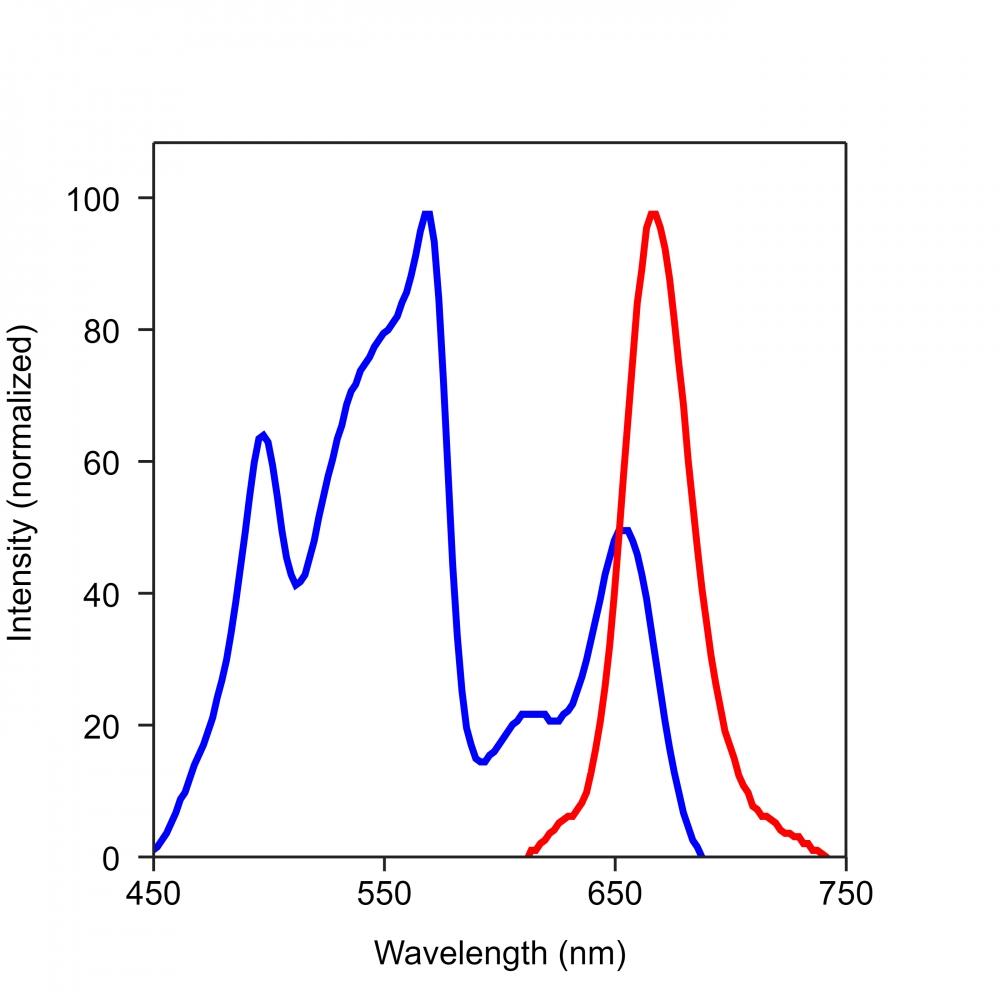 Spectrum for RPE-iFluor 647