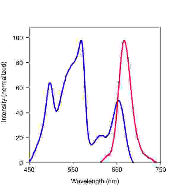 Spectrum for RPE-iFluor 647