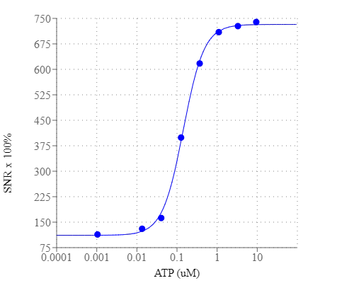 Graph illustrates signal-to-noise ratio (SNR) x 100%. ATP dose response was measured in CHO-K1 cells with Screen Quest™ Calbryte 590 Probenecid-Free and Wash-Free Calcium Assay Kit. CHO-K1 cells were seeded overnight at 50,000 cells/100 µL/well in a 96-well black wall/clear bottom costar plate. 100 µL dye loading solution was added and incubated for 45 min at 37°C and 15 min at RT. ATP (50 µL/well) was added by FlexStation 3 to achieve the final indicated concentrations.