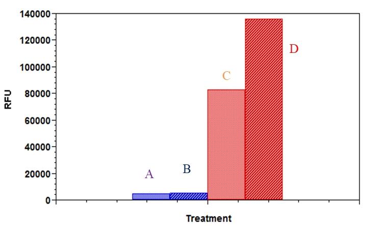 Comparison of fatty acid uptake by 3T3-L1 adipocytes and fibroblast.&nbsp; Cells were plated at 50,000 cells/100 mL/well in a 96 well black wall/clear bottom poly-D lysine plate for 5 hours, and then serum deprived for 1 hour. Cells were treated without (control) or with insulin (150 nM), and incubated at 37 &ordm;C, 5% CO<sub>2 </sub>incubator for 30 min. At the end of the incubation time, 100 &micro;l of fatty acid mixture was added into the well, and incubated for another 60 min, the fluorescence signal was measured with a FlexStation plate reader using bottom read mode. A &ndash; fibroblasts (Control); B &ndash; fibroblasts (Insulin); C &ndash; adipocytes (Control); D&ndash; adipocytes (Insulin).