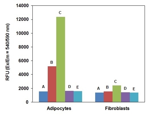 Measurement of 2DG uptake in differentiated 3T3-L1 adipocytes and 3T3-L1 fibroblasts. Assays were performed with Screen Quest™ Fluorimetric Glucose Uptake Assay Kit in a black wall/clear bottom cell culture Poly-D lysine plate using a Gemini (Molecular Devices) microplate reader. (A: Negative Control, no insulin no 2-DG treatment. B: 2DG uptake in the absence of insulin. C: 2DG uptake in the presence of 1mM insulin. D: 2DG uptake in the presence of 1mM insulin and 200 mM phloretin. E: 2DG uptake in the presence of insulin 1mM and 5mM D-Glucose.) 