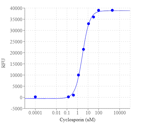 Effect of Cyclosporin A on the inhibition of P-gp pump in MCF-7/ADR cells. The increased concentration of Cyclosporin A resulted in an increase in fluorescence signal caused by the inhibition of P-gp pump which enhanced the intracellular accumulation of MDR indicator dye. The EC50 = 2.4 μM (measured with the kit) is similar to the value reported in the literature.