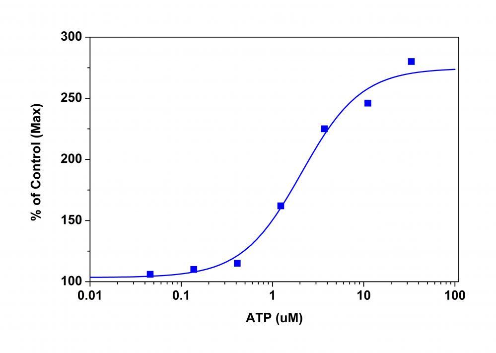 ATP dose response in HEK cells transiently transfected with P2X receptor. HEK cells transiently transfected with P2X receptor were seeded overnight at 40,000 cells/100 &micro;L/well in a Costar black wall/clear bottom 96-well plate. The cells were incubated with 100 &micro;L of the MP dye-loading solution in a 5% CO2, 37 &deg;C incubator for 60 minutes. ATP (50 &micro;L/well) was added by FlexStation to achieve the final indicated concentrations. The fluorescence signal was measured with bottom read mode at Ex/Em = 530/570 nm (cutoff at 550 nm).