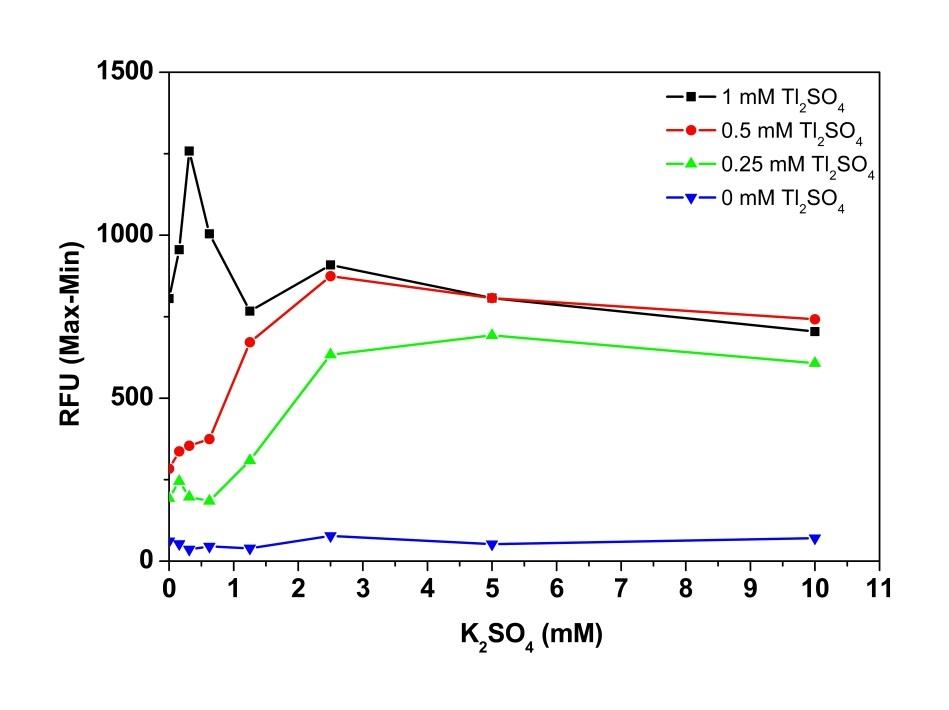 K<sub>2</sub>SO<sub>4 </sub>dose dependent hERG <sup>&nbsp;</sup>channel activity was measured in HEK293-KCNH<sub>2</sub> cells with Screen Quest<sup>TM </sup>Potassium Ion Channel Kit. The cells were seeded overnight at 20,000 cells/100 &micro;L/well in a Costar black wall/clear bottom 96-well poly-D-lysine plate. The cells were incubated with 100 &micro;L of dye-loading solution for 1 hour at 37&deg;C. Final concentration of 1 mM , 0.5 mM, 0.25 mM or 0 mM Tl<sub>2</sub>SO<sub>4 </sub>and different concentration of&nbsp; K<sub>2</sub>SO<sub>4&nbsp; </sub>containing stimulus solution was injected in each well by FlexStation and the plate was read every 1-2 sec for 3 minutes at excitation/emission=490/525nm.