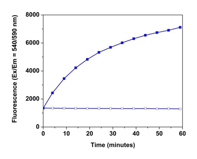 Application of HRP Reaction Stop Solution on HRP coupled glucose detection reaction. Two parallel reactions containing 15 µM Glucose were initiated by adding 50 µL assay mixture containing: 0.5mU/mL HRP, Amplex® Red, and 0.5mU/ml Glucose Oxidase. Reactions were incubated at room temperature for 5 mins and then 20 µL 1X Stop Reagent was added to one reaction, and 20 µL dd H2O to the other reaction. The plots demonstrated that the reaction is completely inhibited by Signal Guard™ HRP Reaction Stopping Solution.