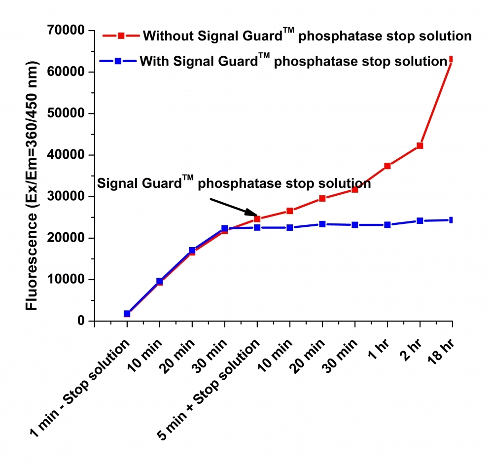 The application of Signal Guard™ phosphatase reaction stopping solution in Acid phosphatase fluorescence (AAT Bioquest Cat#11627) assay. Two parallel reactions containing 100 mU/mL Acid phosphatase was initiated by adding 200 μL reaction mixture. Reactions were incubated at room temperature for times indicated above and then 50 µL Signal Guard™ phosphatase reaction stopping solution was added to one reaction. The plots demonstrated that the reaction is completely inhibited by Signal Guard™ phosphatase reaction stopping solution.