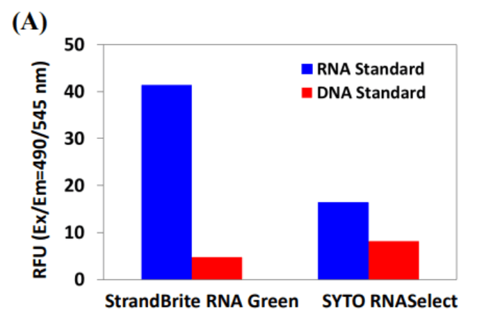 Comparison of StrandBrite RNA Green and SYTO RNASelect in RNA Selectivity Assay. Both RNA-selective probes, StrandBrite RNA Green and SYTO RNASelect, were evaluated under identical conditions, using equal probe concentrations and 5 µg/mL of RNA standards. Fluorescence was measured in relative fluorescence units (RFU) using a Gemini fluorescence microplate reader.