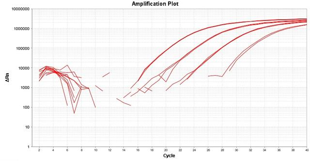 Amplification plot for a dilution series of HeLa cells cDNA amplified in replicate reactions to detect GAPDH using TAQuest&trade; FAST qPCR Master Mix for TaqMan Probes *No ROX*.