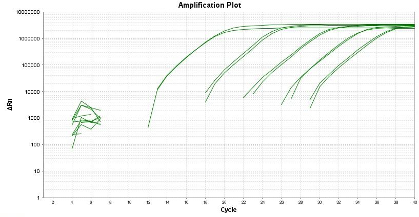 Amplification plot for a dilution series of HeLa cells cDNA amplified in replicate reactions to detect GAPDH using TAQuest&trade; FAST qPCR Master Mix with Helixyte&trade; Green *No ROX*.