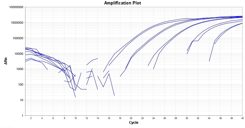 Amplification plot for a dilution series of HeLa cells cDNA amplified in replicate reactions to detect GAPDH using TAQuest™ qPCR Master Mix for TaqMan Probes *No ROX*.