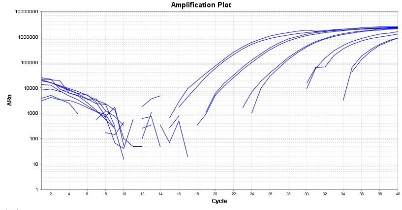 Amplification plot for a dilution series of HeLa cells cDNA amplified in replicate reactions to detect GAPDH using TAQuest&trade; qPCR Master Mix for TaqMan Probes *No ROX*.