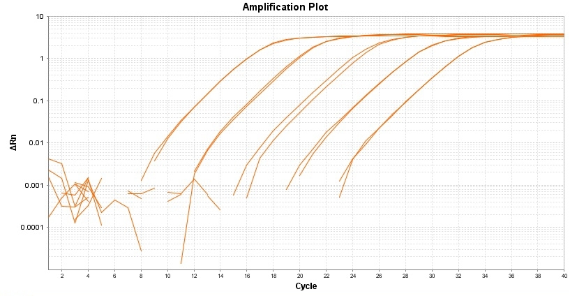Amplification plot for a dilution series of HeLa cells cDNA amplified in replicate reactions to detect GAPDH using TAQuest™ qPCR Master Mix with Helixyte™ Green *Low ROX*.