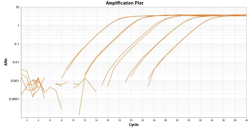 Amplification plot for a dilution series of HeLa cells cDNA amplified in replicate reactions to detect GAPDH using TAQuest&trade; qPCR Master Mix with Helixyte&trade; Green *Low ROX*.