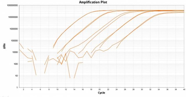 Amplification plot for a dilution series of HeLa cells cDNA amplified in replicate reactions to detect GAPDH using TAQuest&trade; qPCR Master Mix with Helixyte&trade; Green *No ROX*.