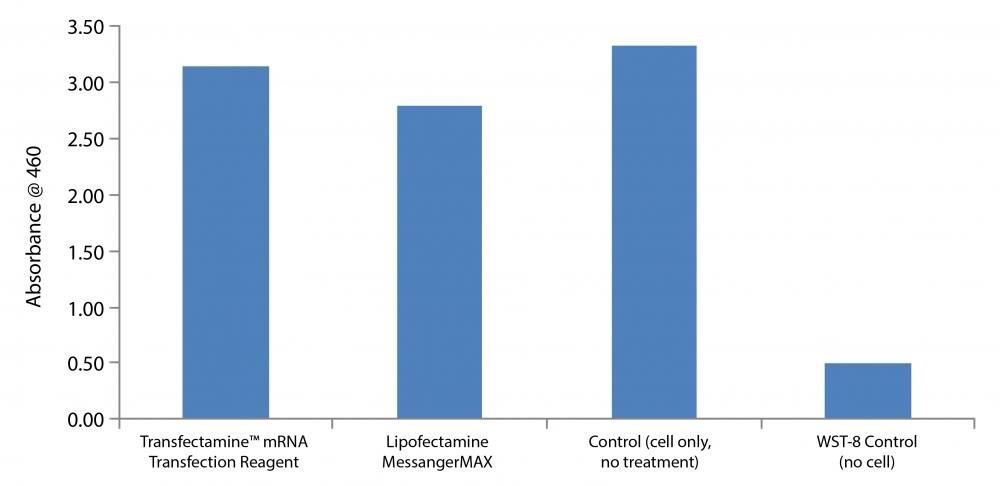 Cell viability comparison in HeLa cells. HeLa cells were incubated with Transfectamine&trade; mRNA Transfection Reagent and Lipofectamine MessagerMax, respectively, according to suggested protocol without mRNA. After 24 hours, cell viability in both groups was measured with Cell Meter&trade; Colorimetric WST-8 Cell Quantification Kit (Cat#22770). The higher absorbance at 460 represents more numbers of viable cells.