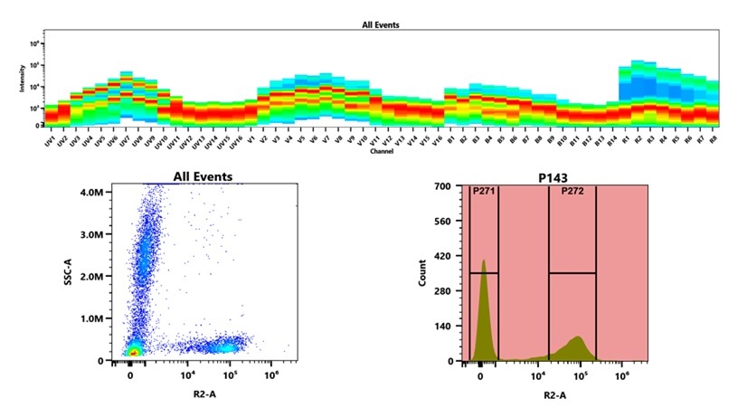 (Top) Spectral emission profiles generated using four spatially offset lasers (355 nm, 405 nm, 488 nm, and 640 nm). Each laser produced a distinct emission pattern, and their combination yielded the composite spectral signature. (Bottom) Flow cytometry analysis of whole blood stained with XFD647 Anti-human CD7 Antibody *HIT7*. The fluorescence signal was monitored using an Cytek Aurora flow cytometer in the specific R2-A channel.