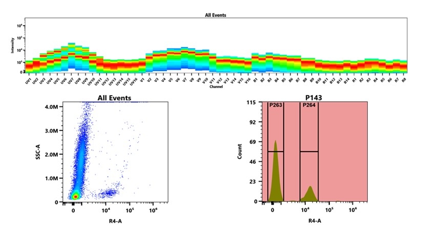 (Top) Spectral emission profiles generated using four spatially offset lasers (355 nm, 405 nm, 488 nm, and 640 nm). Each laser produced a distinct emission pattern, and their combination yielded the composite spectral signature. (Bottom) Flow cytometry analysis of whole blood stained with XFD700 Anti-human CD19 Antibody (HI19a). The fluorescence signal was monitored using an Cytek Aurora flow cytometer in the specific R4-A channel.
