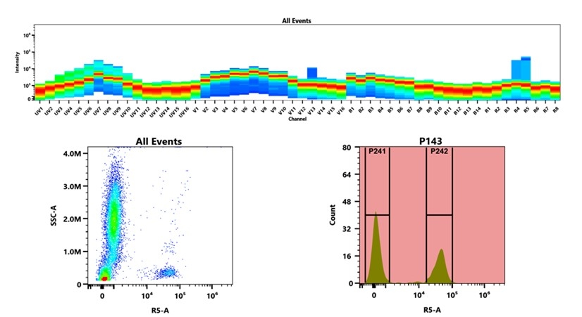 (Top) Spectral emission profiles generated using four spatially offset lasers (355 nm, 405 nm, 488 nm, and 640 nm). Each laser produced a distinct emission pattern, and their combination yielded the composite spectral signature. (Bottom) Flow cytometry analysis of whole blood stained with XFD700 Anti-human CD3 Antibody *UCHT1*. The fluorescence signal was monitored using an Cytek Aurora flow cytometer in the specific R5-A channel.