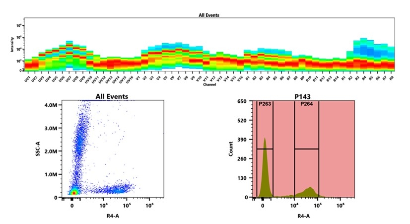 (Top) Spectral emission profiles generated using four spatially offset lasers (355 nm, 405 nm, 488 nm, and 640 nm). Each laser produced a distinct emission pattern, and their combination yielded the composite spectral signature. (Bottom) Flow cytometry analysis of whole blood stained with XFD700 Anti-human CD7 Antibody *HIT7*. The fluorescence signal was monitored using an Cytek Aurora flow cytometer in the specific R4-A channel.